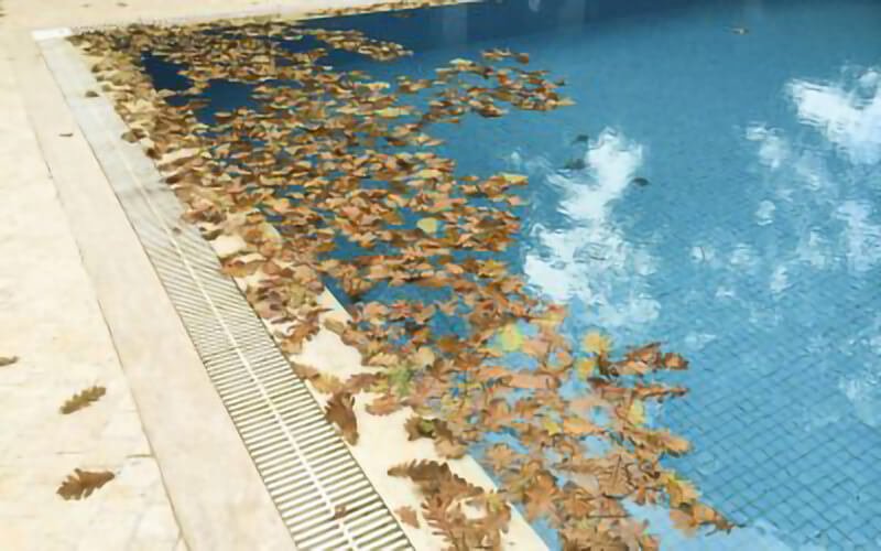 piscina-llena-de-hojas-en-otono
